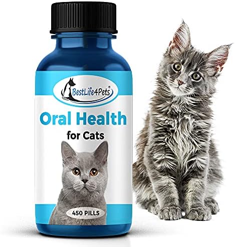 BestLife4Pets Оралното Здравје за Мачки и Стоматолошка Заштита Додаток – Сите Природни Анти-воспалителни Болка за Stomatitis Гингивит и заболување на Непцата - Лесен за Употр