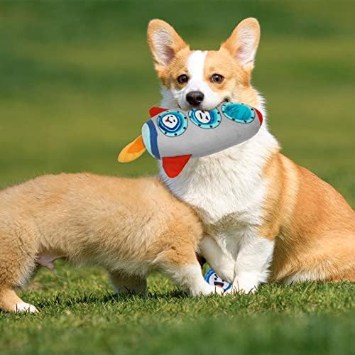 BINGPET Кадифен Куче Писклив Играчки - Кикирики Форма Кучиња Џвакање Меки Играчки со 3 Pack Извлече Игра Писклив Топки за Кучиња,
